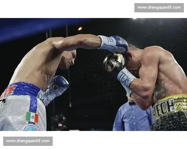 洛马琴科对决萨利多的争议之战与拳坛规则深层反思历史性回顾