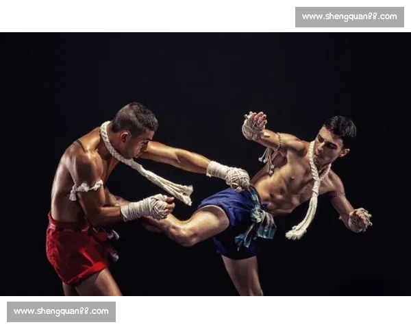 深入探讨VS泰拳的起源发展技法特色与国际影响力分析